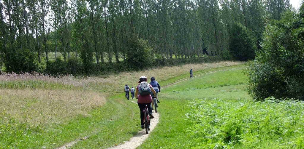 Bewl Water