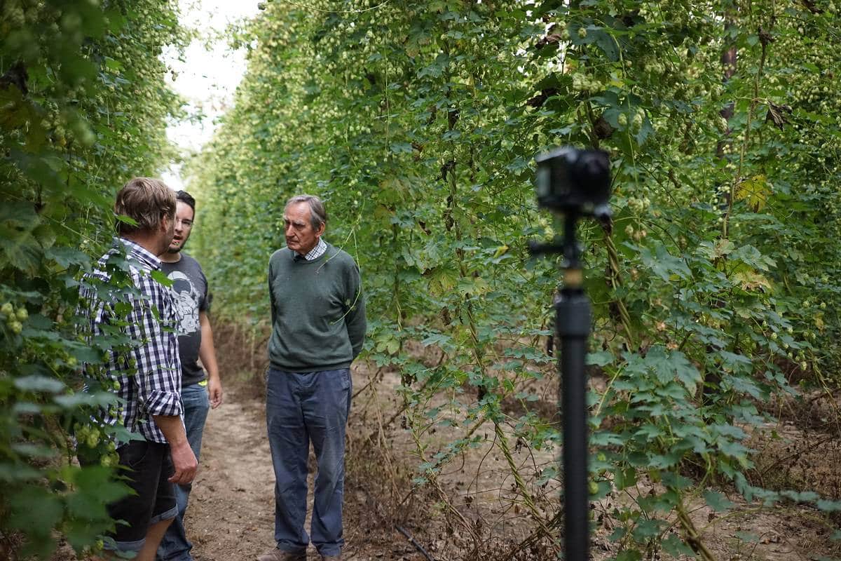 Digital firm gives a rounded view on hop production