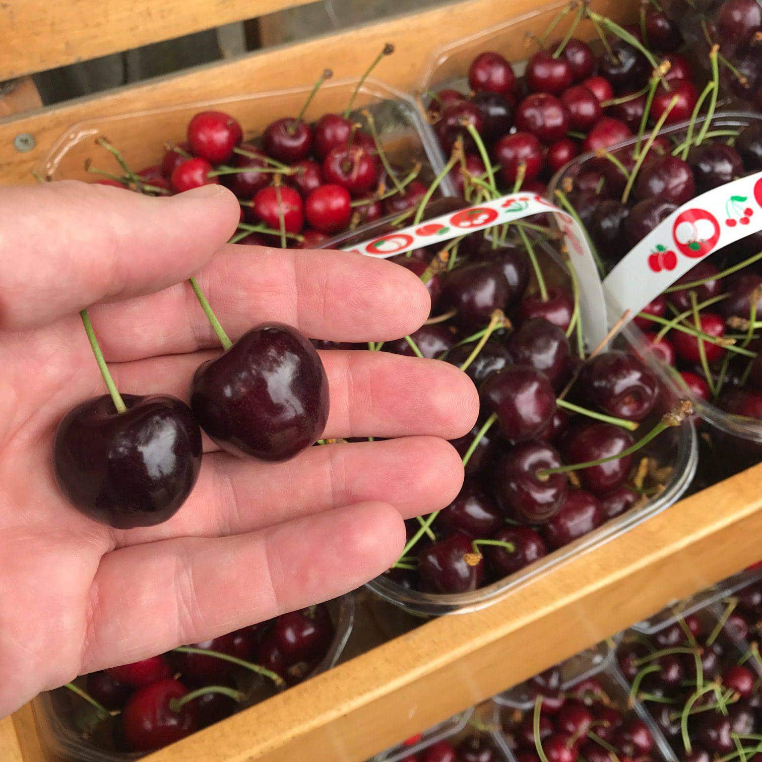 Time to cherry-pick a favourite summer fruit, writes Tunbridge Wells Farmers' Market Manager Bruce McMichael