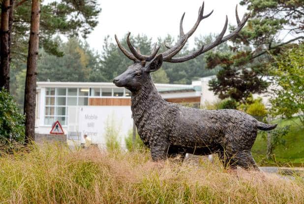 Bronze stag stolen from charity-run Horder Centre in Crowborough