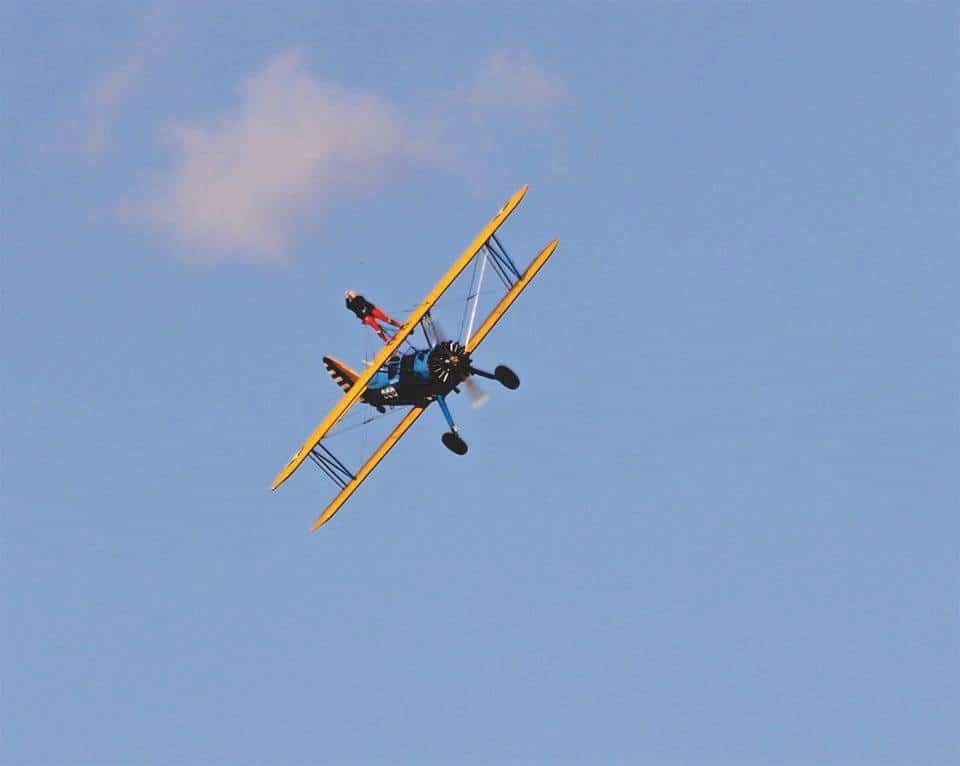 Pepenbury Wingwalk 2