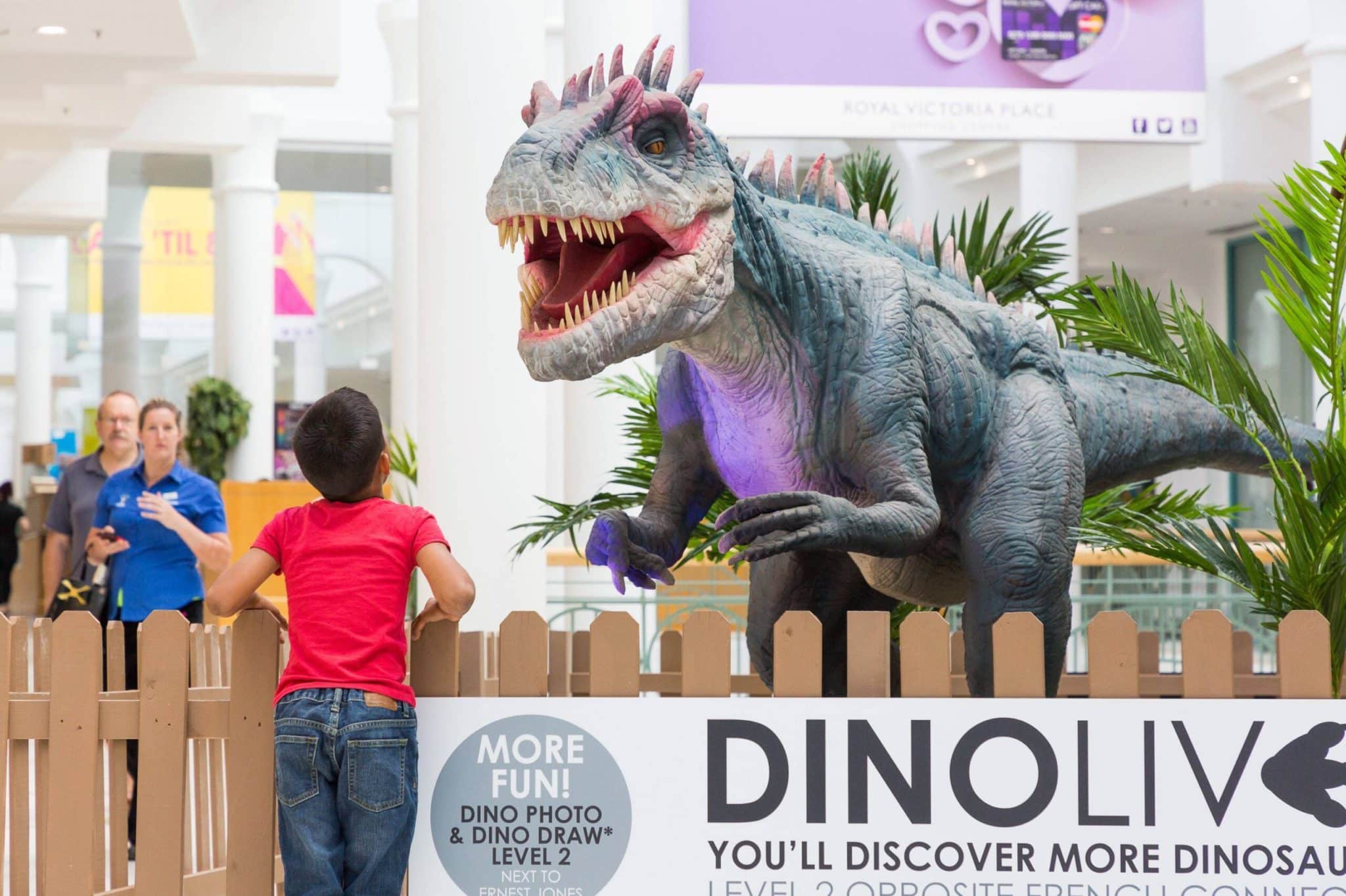 Dino Live draws in shoppers