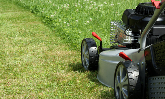 Cut your lawn on the highest setting at this time of year.